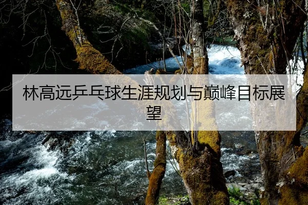 林高远乒乓球生涯规划与巅峰目标展望